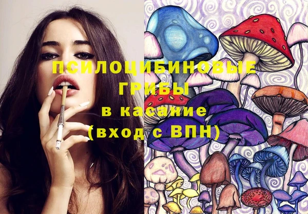 гашик Сосновка