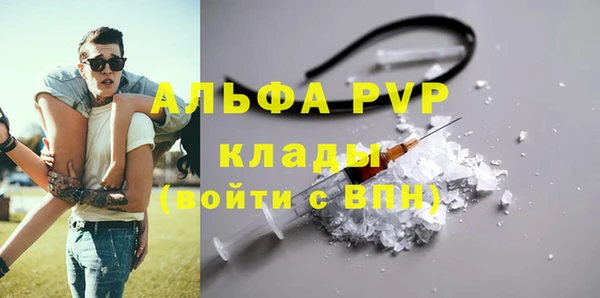сатива Сосновый Бор