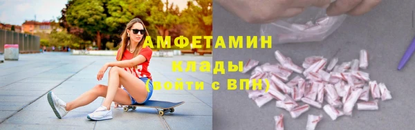 гашик Сосновка