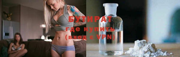 гашик Сосновка