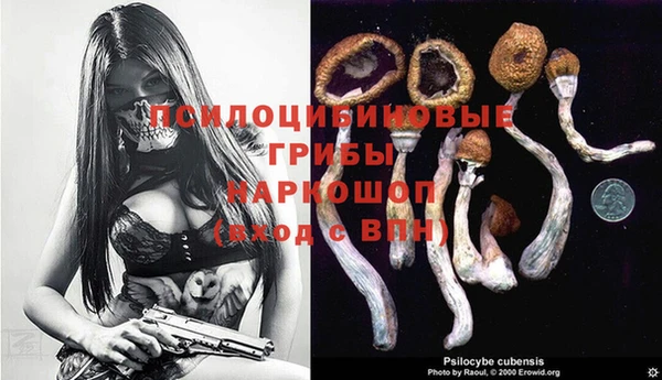 гашик Сосновка