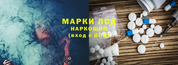 сатива Сосновый Бор