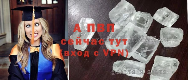 амф Сосновоборск