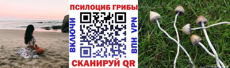 Галлюциногенные грибы мицелий  наркотики  Дедовск 